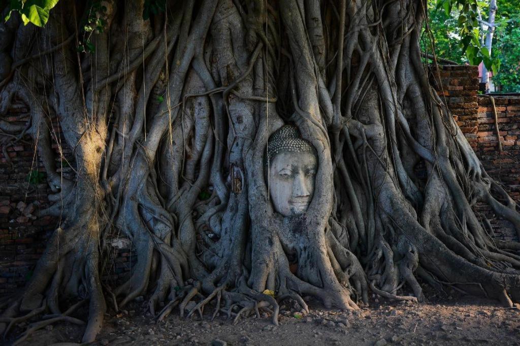 Hotel Oyo 384 Ban Sabaidee Phra Nakhon Si Ayutthaya Zewnętrze zdjęcie